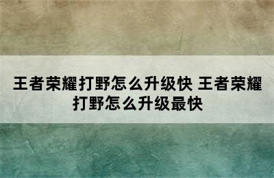 王者荣耀打野怎么升级快 王者荣耀打野怎么升级最快